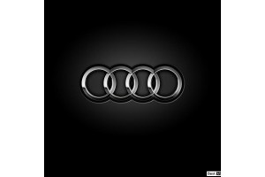 Audi vezérlésrögzítők