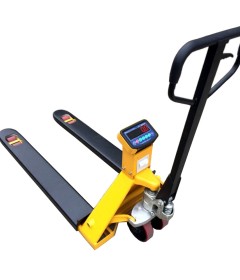 Raklapemelők, békák