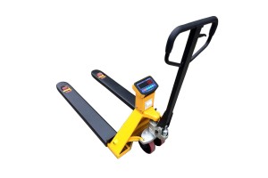 Raklapemelők, békák