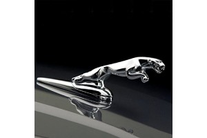 Jaguar vezérlésrögzítők