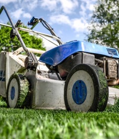 Kerti és szezonális termékek