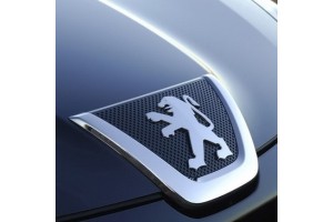 Peugeot vezérlésrögzítők