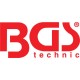 BGS