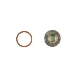Olajleeresztő csavar - TEHER - Iveco M22 x 1.50 - OEM 16993411 (CON-33161) Olajleeresztő csavar - TEHER - Iveco M22 x 1.50 - OEM 16993411 (CON-33161)
