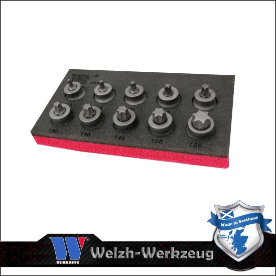 Rátűzőkulcs klt. 3/8" Torx T10-T55 mm -alacsony- Welzh (2533-WW)