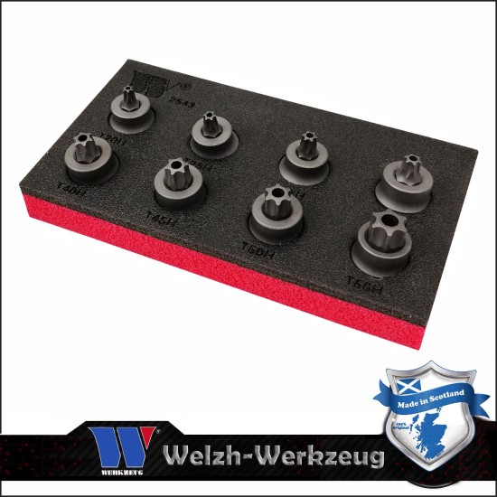 Rátűzőkulcs klt. 3/8" Torx T10H-T55H mm -alacsony- Welzh (2543-WW)