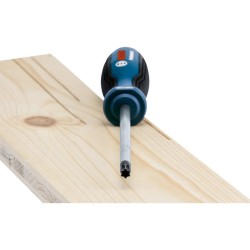 BOSCH Csavarhúzó T40 X 125 mm S2 (1600A01V0F) BOSCH Csavarhúzó T40 X 125 mm S2 (1600A01V0F)