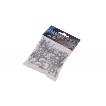 Alumínium popszegecs 4,8 x 10 mm (50 db) Alumínium popszegecs 4,8 x 10 mm (50 db)