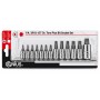 Rátűzőkulcs - crowa+bit készlet Torx Plus® 12 darab 1/4''-3/8''-1/2''